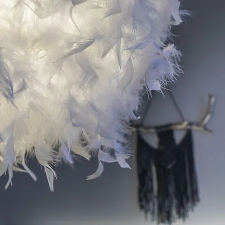 Vasko Luxurious Suites, Ahola