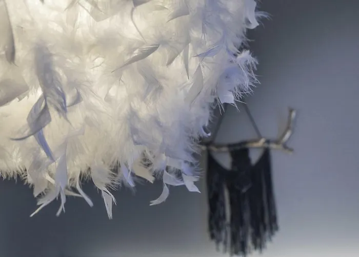 Vasko Luxurious Suites, Ahola